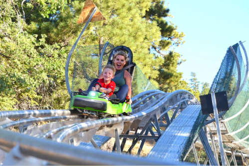 A woman and a child joyfully ride a green roller coaster on a sunny day, surrounded by trees.