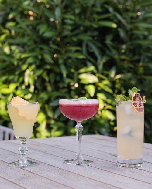 Three colorful cocktails on a wooden table, surrounded by lush green foliage.