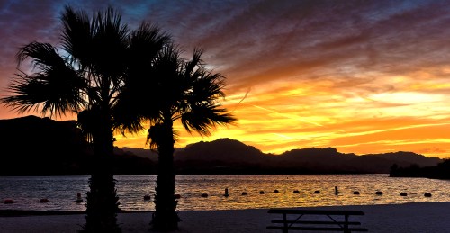Silhouetted palm trees against a vibrant sunset over a calm lake, with mountains in the background.