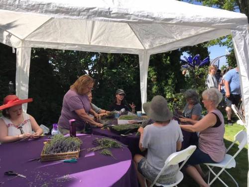 A group of people gather under a tent, crafting with lavender at a table in a sunny outdoor setting.