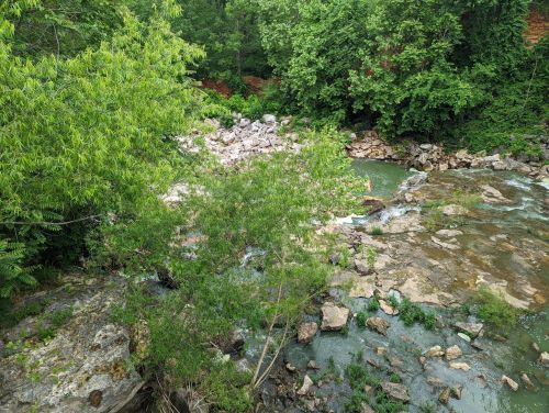A serene river flows through a rocky landscape, surrounded by lush green trees and foliage.