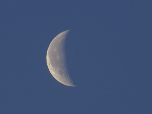 A crescent moon illuminated against a deep blue sky, showcasing its textured surface and gentle curves.