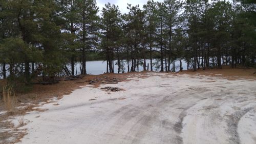 A sandy area bordered by trees, leading to a calm lake in the background under a cloudy sky.