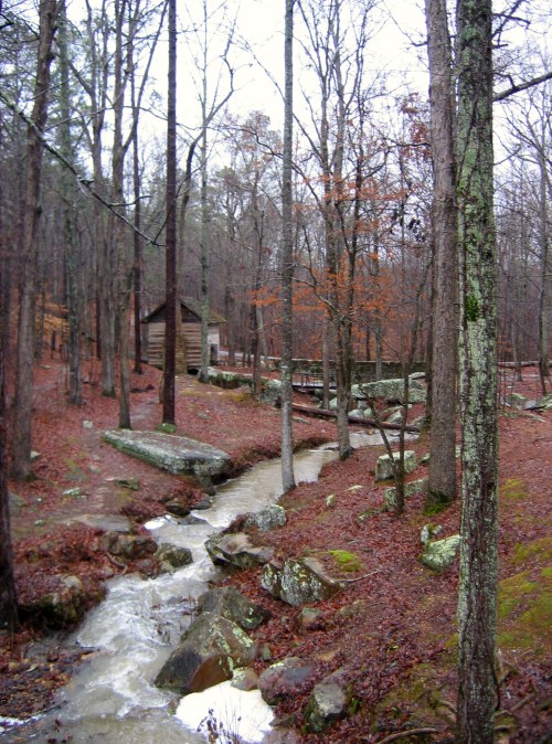 A serene forest scene with a small stream, rocks, and a rustic cabin among bare trees in a misty atmosphere.