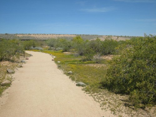 A sandy path winds through a green landscape with shrubs and small rocks under a clear blue sky.