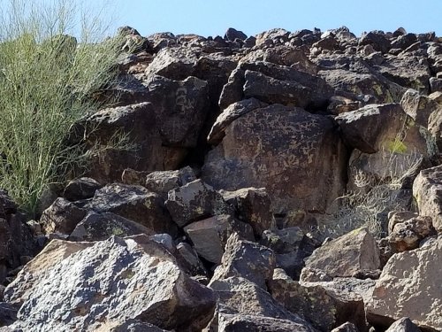 Rocky terrain with scattered boulders and sparse vegetation, featuring ancient petroglyphs etched into the stones.