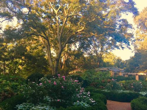 A lush garden filled with blooming flowers and tall trees, bathed in warm sunlight.