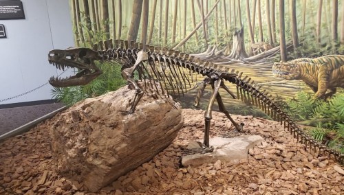 A dinosaur skeleton displayed on a rock, set against a forest mural with a tiger in the background.