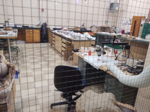 A laboratory space with tables, tools, and a microscope, viewed through a wire mesh screen.