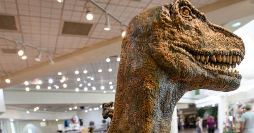 A piece of art at Tamarack Marketplace in New Jersey