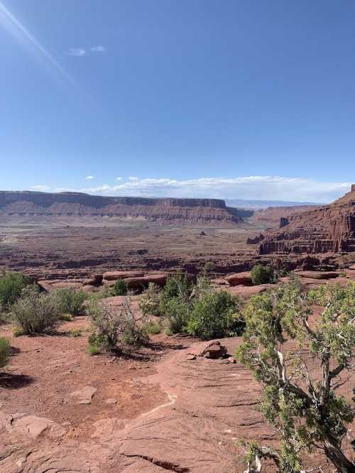 A vast desert landscape with red rock formations, scattered shrubs, and a clear blue sky in the background.