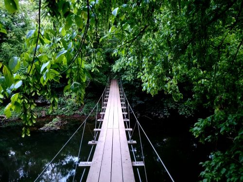 A wooden suspension bridge stretches over a calm river, surrounded by lush green foliage.