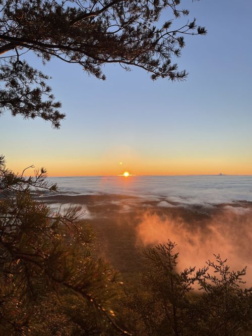 A serene sunrise over a misty landscape, framed by tree branches, with soft clouds below and a clear sky above.