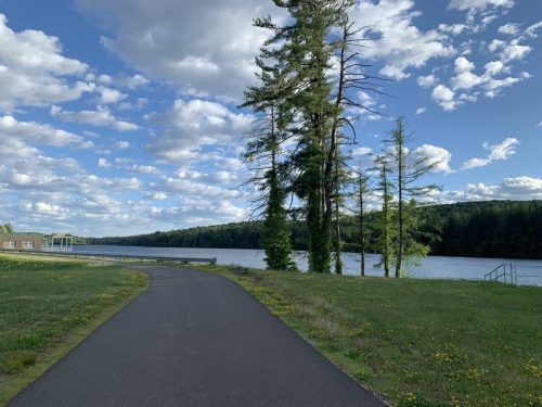 A scenic path alongside a river, with tall trees and a blue sky filled with clouds in the background.