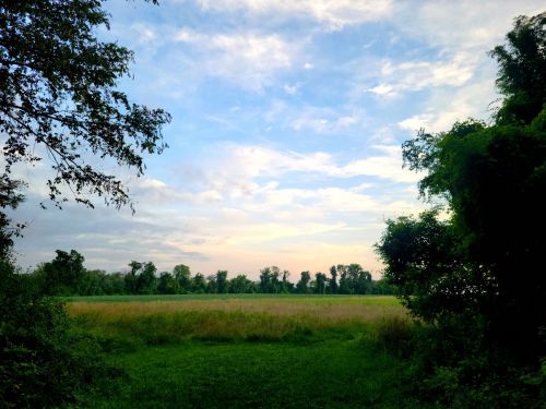 A serene landscape featuring a grassy field under a blue sky with scattered clouds, framed by trees on either side.