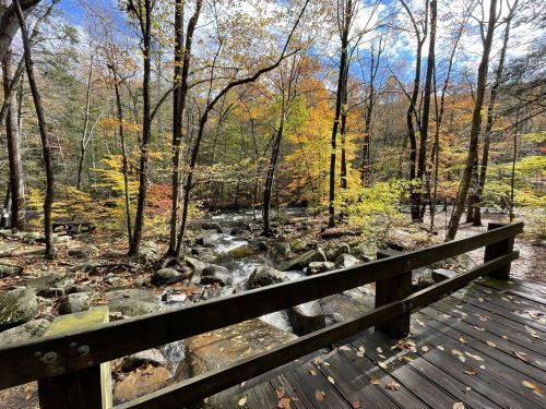 A wooden bridge overlooks a stream surrounded by colorful autumn trees and rocky terrain.