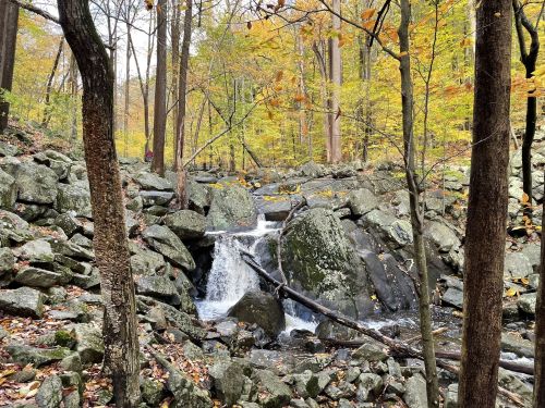 A serene waterfall cascades over rocks, surrounded by autumn foliage and trees in a peaceful forest setting.