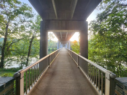 A concrete bridge pathway lined with railings, surrounded by trees and a river, with sunlight filtering through.