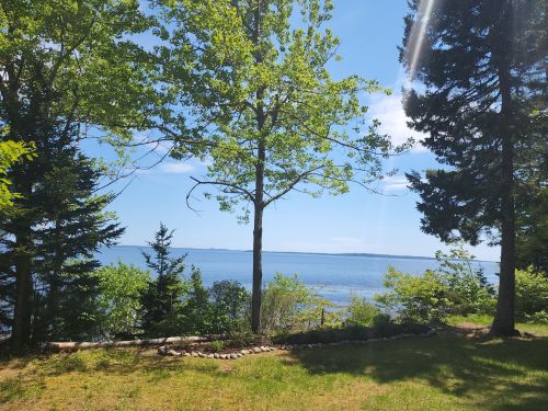A serene view of a lake surrounded by trees under a clear blue sky, with sunlight filtering through the leaves.
