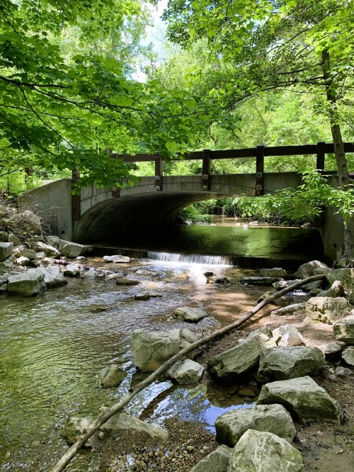 A serene creek flows under a stone bridge, surrounded by lush green trees and rocky banks.