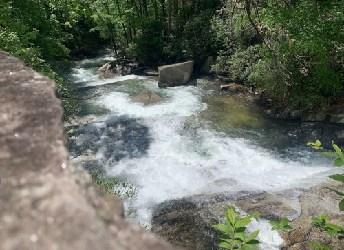 A flowing river with white water rapids surrounded by lush green trees and large rocks.