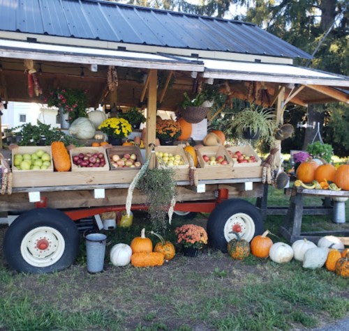A rustic market stand filled with colorful pumpkins, apples, and various vegetables, surrounded by flowers and greenery.