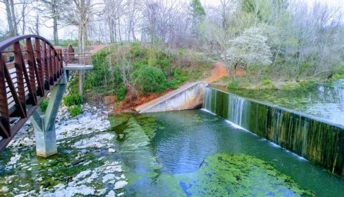 A serene landscape featuring a wooden bridge over a pond with a small waterfall and lush greenery surrounding it.
