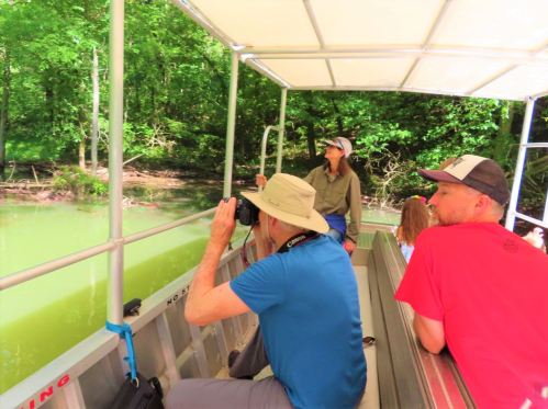 A group of people on a boat, one taking photos, surrounded by lush greenery and calm water.