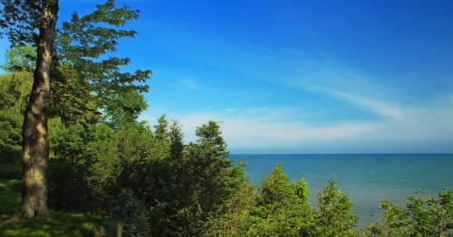 A serene view of a lake surrounded by lush green trees under a clear blue sky.