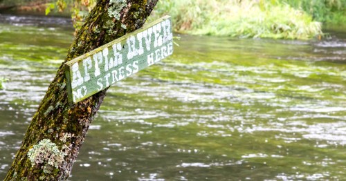 A wooden sign on a tree reads "Apple River - No Stress Here," with a serene river and greenery in the background.