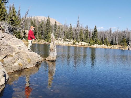 A person fishing from a rocky shore by a calm lake, surrounded by trees and mountains under a clear blue sky.