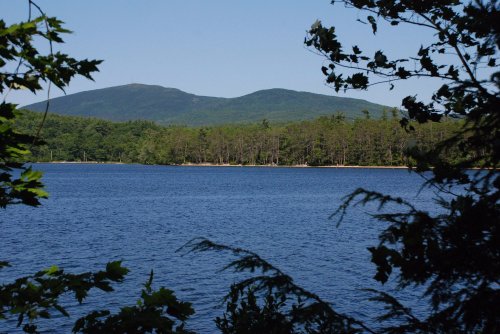 A serene lake surrounded by trees, with mountains in the background under a clear blue sky.