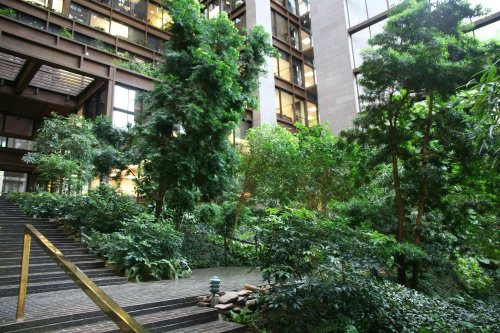 Lush indoor garden with tall trees and greenery, featuring a staircase leading to a modern building.