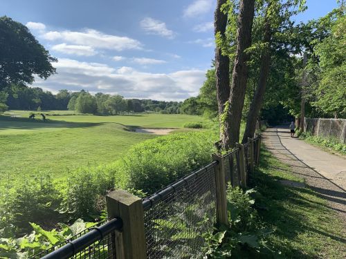 A scenic park with a grassy field, trees, and a walking path beside a fence under a blue sky with clouds.