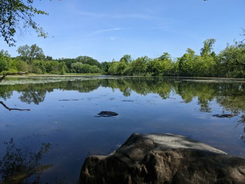 A serene lake surrounded by lush greenery, reflecting the blue sky and trees on its calm surface.