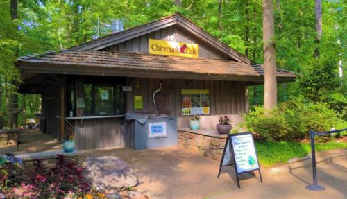 A cozy café building surrounded by trees, featuring a sign and outdoor seating area.