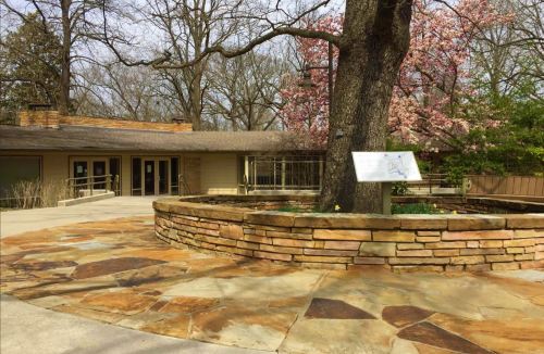 A stone patio surrounds a tree in front of a building, with blooming trees and a sign nearby.