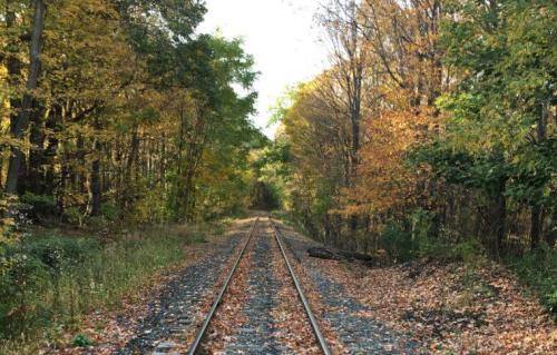 A tranquil railway track surrounded by trees with autumn foliage, covered in fallen leaves.