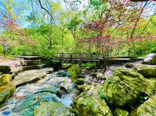 A serene landscape featuring a rocky stream, lush greenery, and a wooden bridge surrounded by trees.