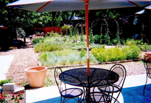 A sunny garden scene featuring a table and chairs under an umbrella, surrounded by lush greenery and plants.