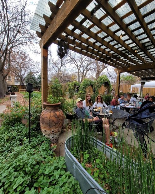 A cozy outdoor dining area with people sitting at tables surrounded by greenery and decorative pots.