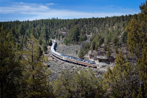A train winds through a forested landscape, surrounded by trees and hills under a clear blue sky.