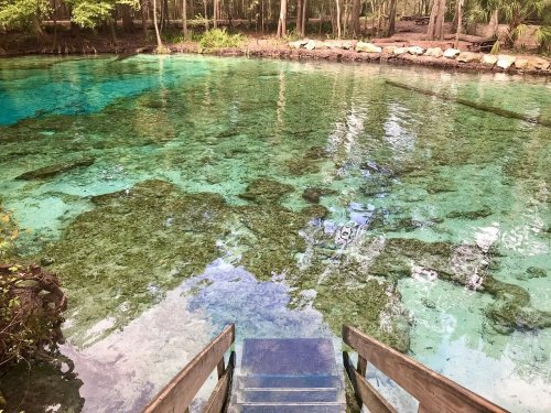 A serene natural spring with clear turquoise water and wooden steps leading down to the water's edge, surrounded by trees.