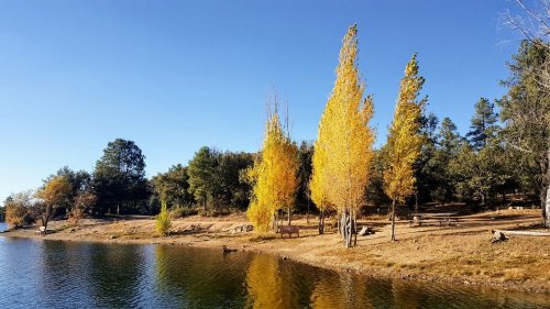 A serene lakeside scene with golden trees reflecting in the water under a clear blue sky.