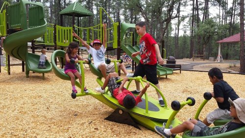 Children playing on a green playground with slides and a seesaw, surrounded by trees and wood chips.