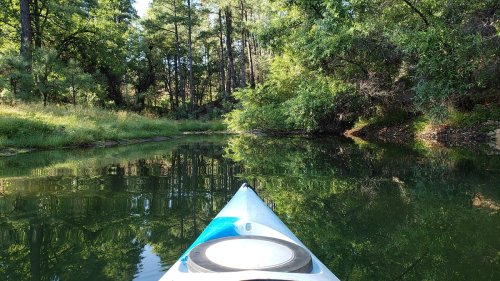 A kayak glides through a serene, green forested area with calm water reflecting the trees.