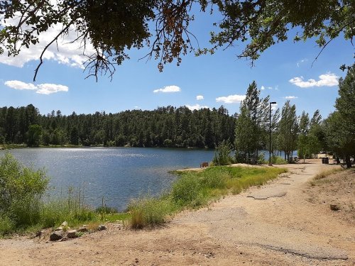 A serene lake surrounded by trees, with a sandy path leading to the water under a clear blue sky.