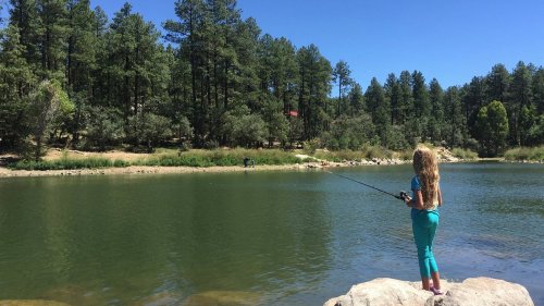 A child stands on a rock by a serene lake, fishing amidst tall trees and clear blue skies.