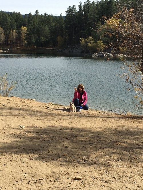 A woman sits by a lake with a small dog, surrounded by trees and a sandy shore on a sunny day.