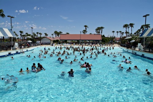A crowded outdoor pool on a sunny day, filled with people enjoying the water and surrounded by palm trees.